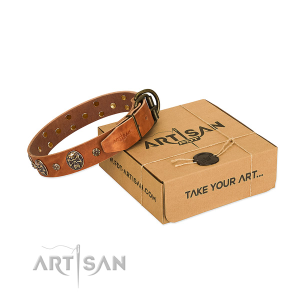 Tan leather dog collar with extraordinary design