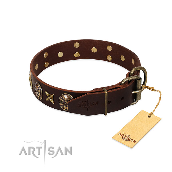 Brown dog collar with old bronze-like hardware