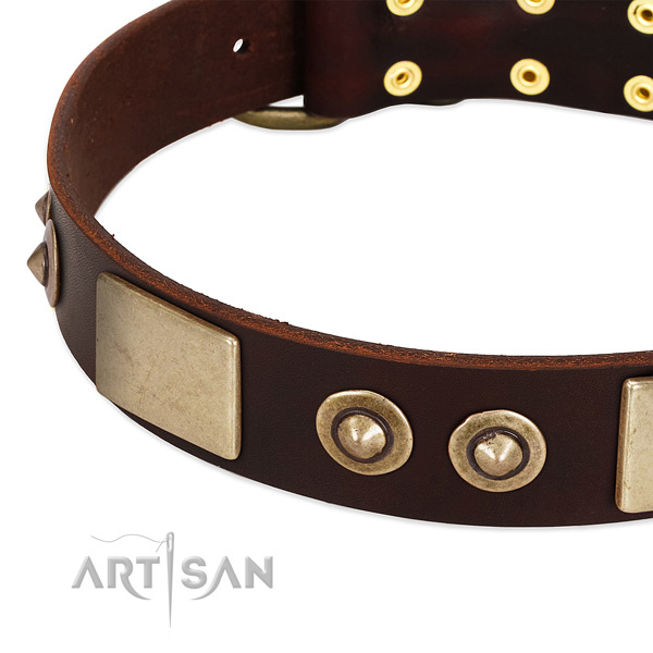 Tremendous brown leather dog collar with riveted decorations