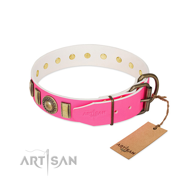 Walking FDT Artisan leather dog collar won't cut into skin