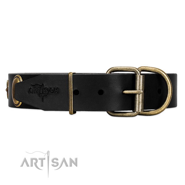 Well-fitting leather dog collar with old bronze-like hardware