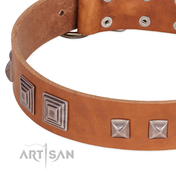 Dog collar with square studs for stylish canine