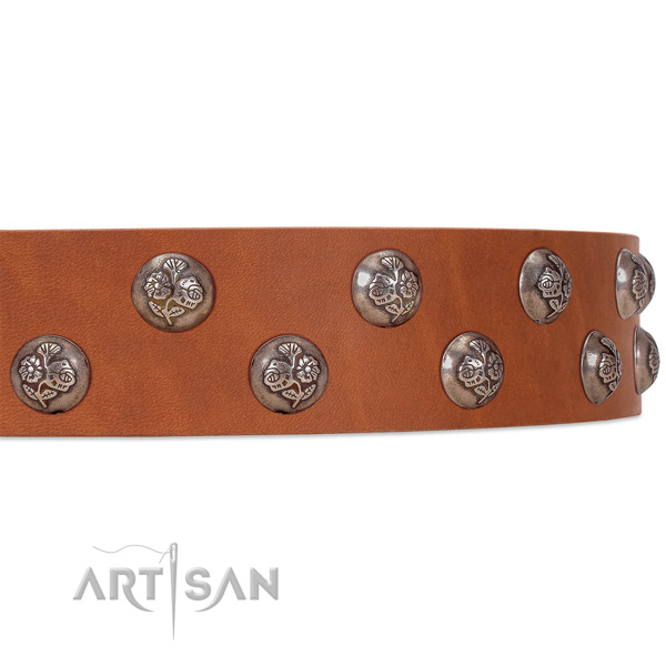 Tan leather FDT Artisan dog collar with chrome-plated flowers