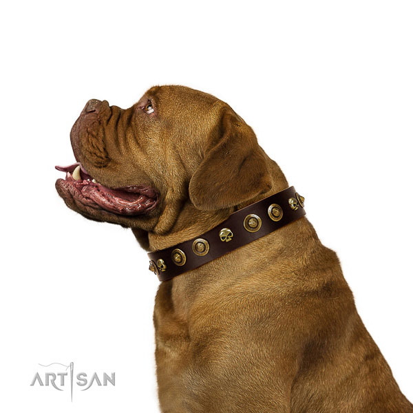 Stylish Walking Dogue de Bordeaux Collar of High Quality