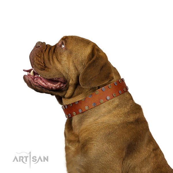 Top notch leather Dogue de Bordeaux collar of significant desig