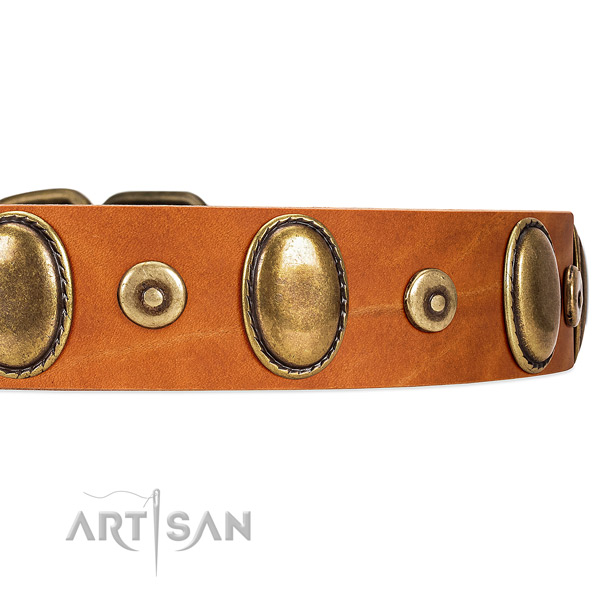 Super Stylish Leather Dog Collar with Reliable Fittings