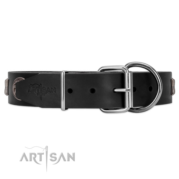 Strong leather dog collar with chrome plated hardware