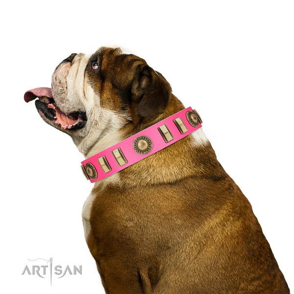 Dependable English Bulldog Artisan leather collar for pleasant pastime