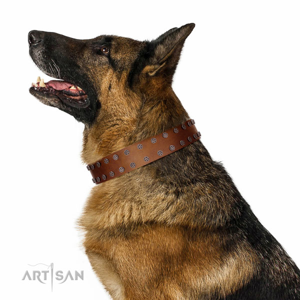 Walking top-notch quality walking leather German Shepherd collar