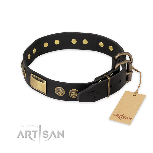 Designer Leather Dog Collar with Rustproof Adornment