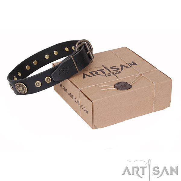 Designer Leather Dog Collar with Rustproof Adornment