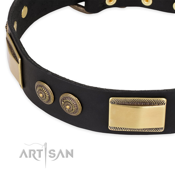 Designer Leather Dog Collar with Rustproof Adornment