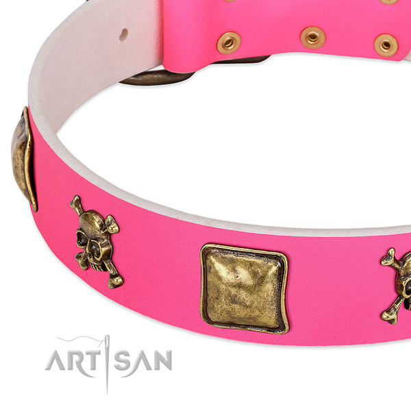 FDT Artisan dog collar adorned with skulls and crossbones in combination with squares