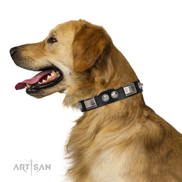 Handcrafted walking leather Golden Retriever collar