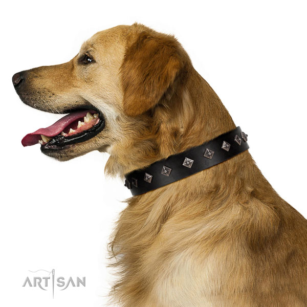 New elegant walking black leather Golden Retriever collar with chic decorations