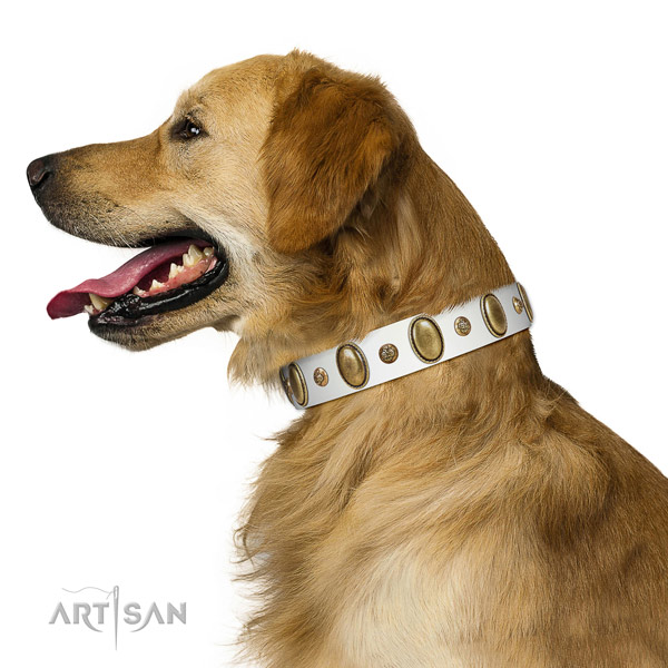 Comfortable Golden Retriever Artisan leather collar of optimal width