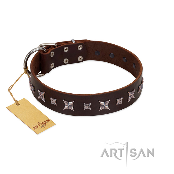 FDT Artisan leather dog collar for walks