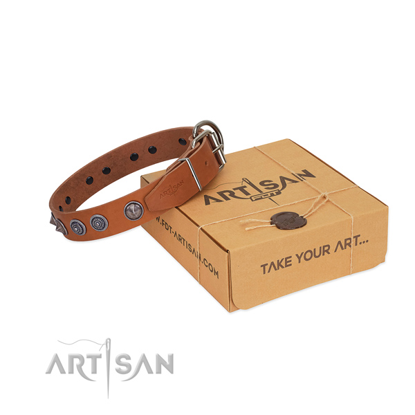 FDT Artisan leather dog collar for walks