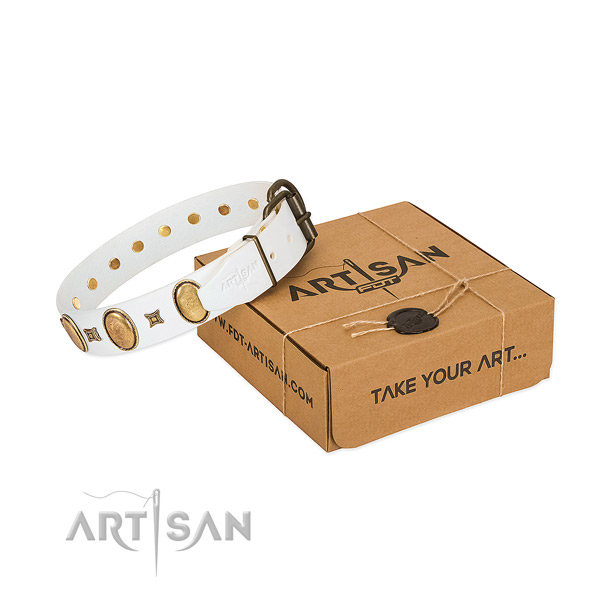 FDT Artisan leather dog collar for walks