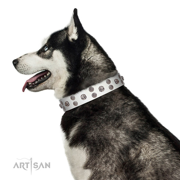 Walking top-notch quality walking leather Husky collar