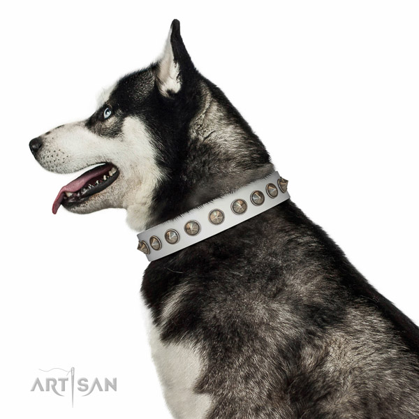 Beautiful white leather Husky collar for walks