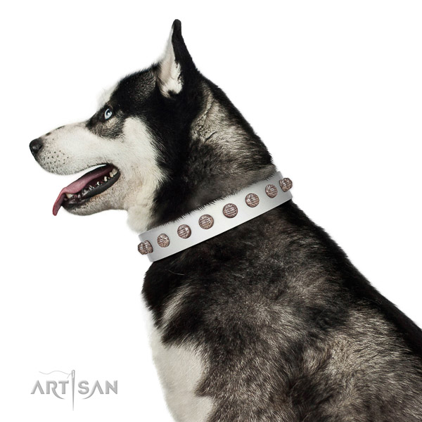 Totally safe Husky pink leather collar