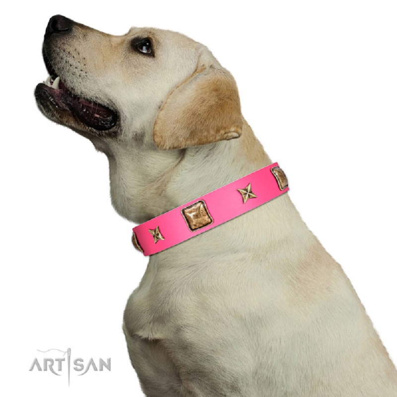 Soft Leather Akita Inu Collar for Daily Use