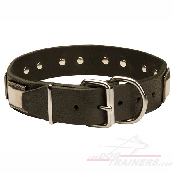 Decorated Leather Collar