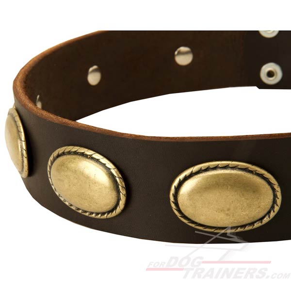 Hand crafted Dog Collar