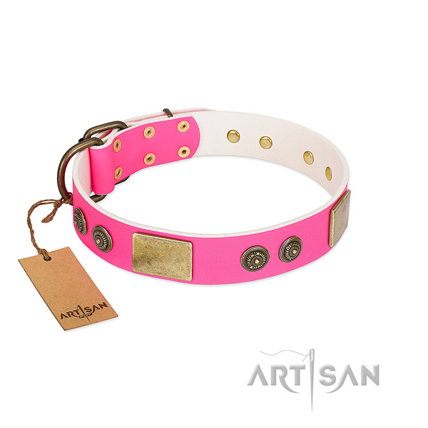 Luxury Style Pink Leather Dog Collar Adorned with Gold-like Plates