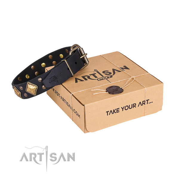 Trendy black leather dog collar