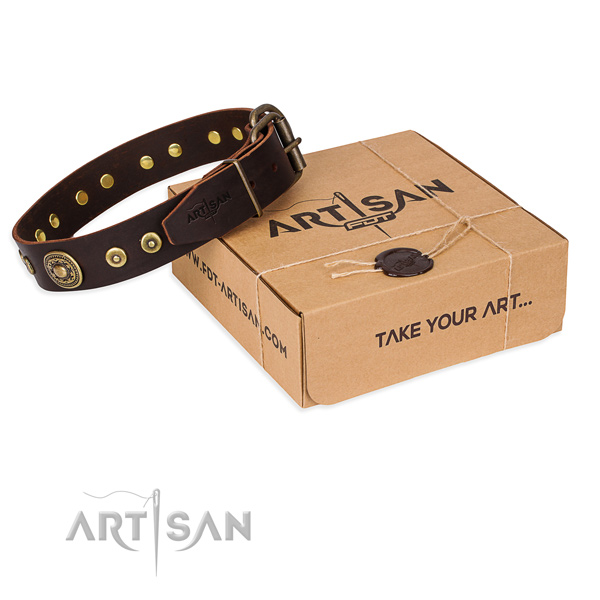 Pretty brown leather dog collar