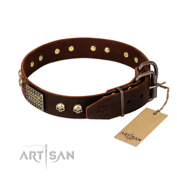 Brown leather dog collar with old bronze-like plated fittings