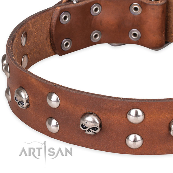 Resistant tan leather dog collar with buckle and D-ring