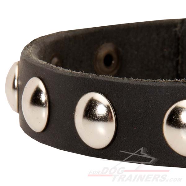 Walking Leather Dog Collar 