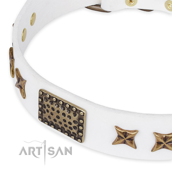 White leather dog collar for fashion walking