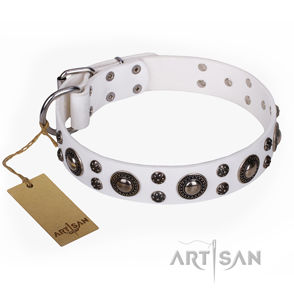 White leather dog collar with rust-proof studs