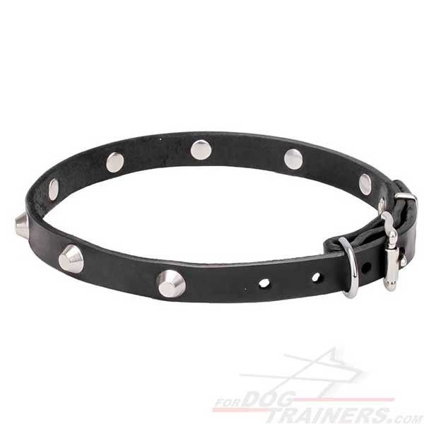 Rust-resistant hardware on leather dog collar