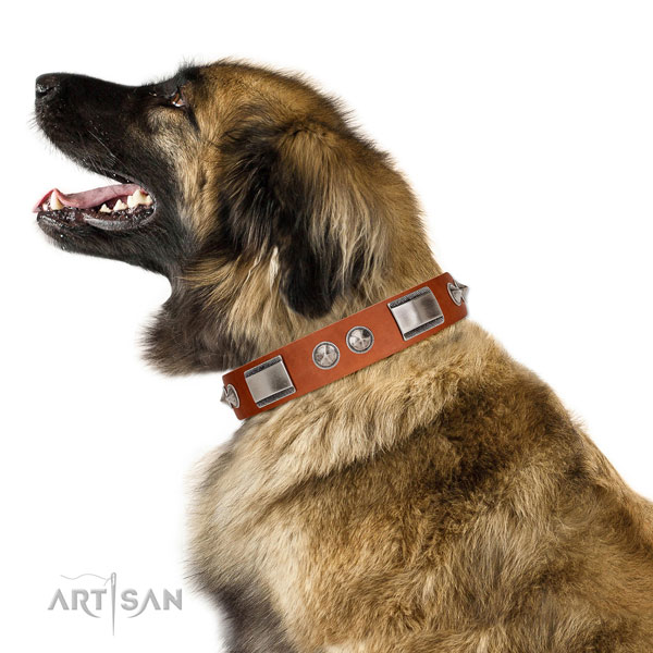 Handcrafted walking leather Leonberger collar