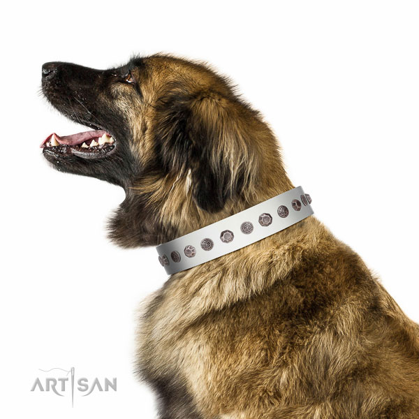 Fabulous walking white leather Leonberger collar with chic decorations