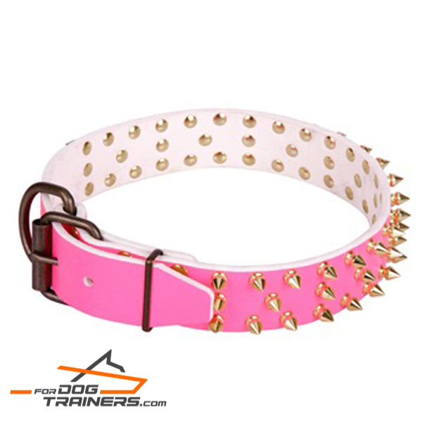 Decorated leather collar for comfortable walking