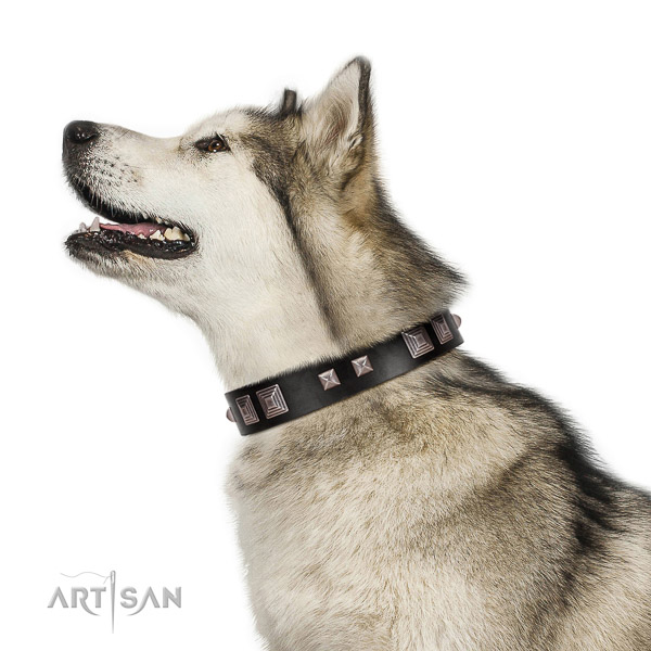 Comfortable walking leather Malamute collar