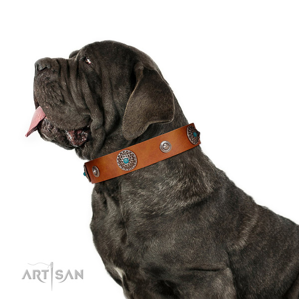 Extraordinary walking tan leather Mastino Neapolitano collar with chic blue stones