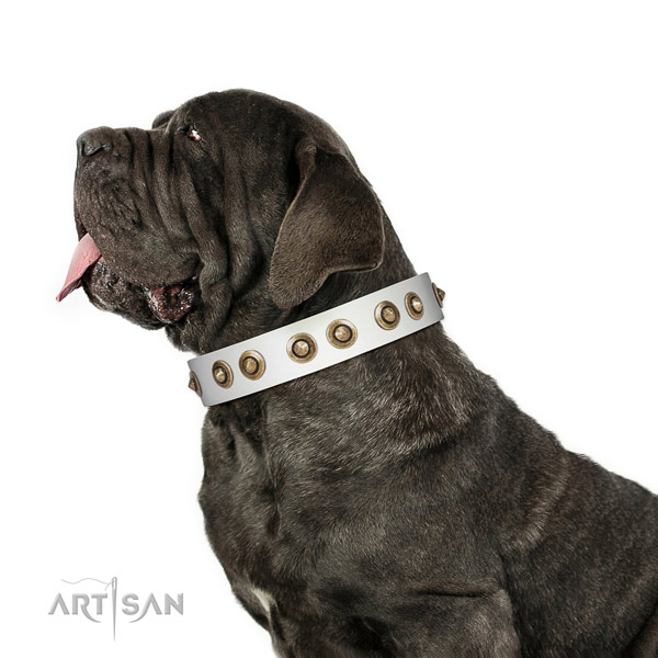 White Leather Mastino Neapoletano Collar of Unusual Design