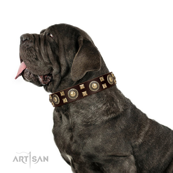 Extraordinary walking leather Mastino Neapoletano collar with chic decorations