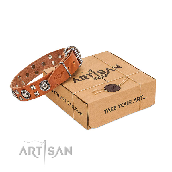 FDT Artisan leather dog collar for your best dog