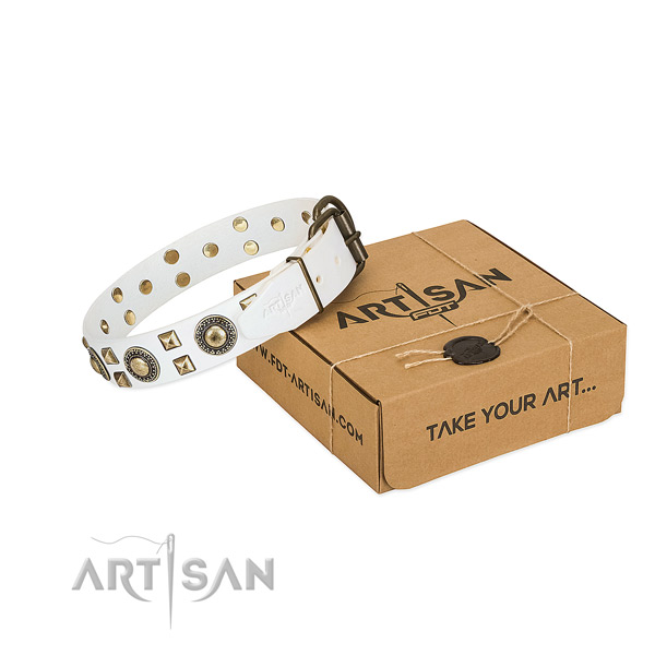 FDT Artisan leather dog collar for your best dog