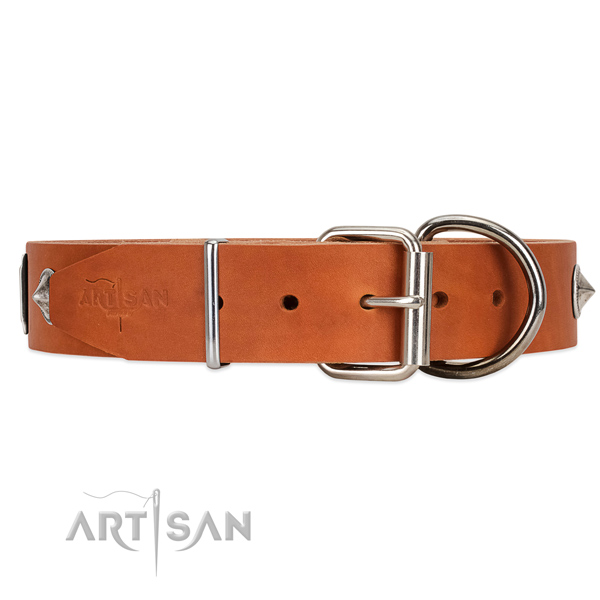 Strong leather dog collar with chrome plated hardware