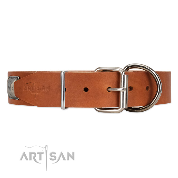 Leather dog collar with old silver-like hardware