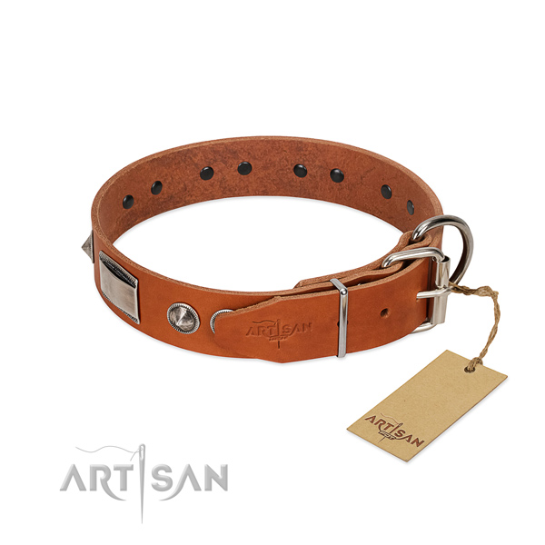 Reliable FDT Artisan leather dog collar